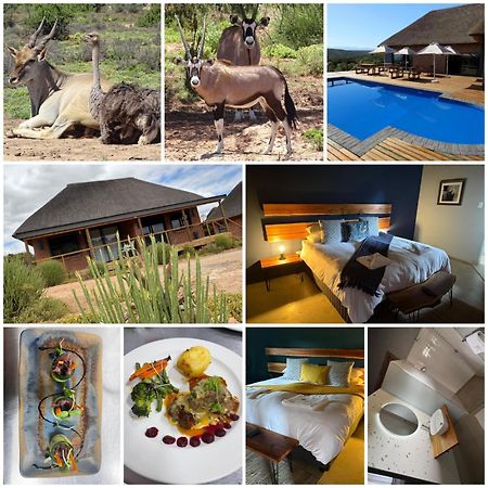 Klein Karoo Game Lodge Oudtshoorn Extérieur photo